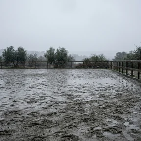 Invierno con lluvia
