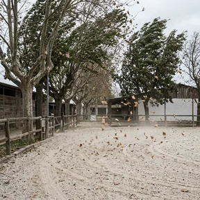Viento en la pista